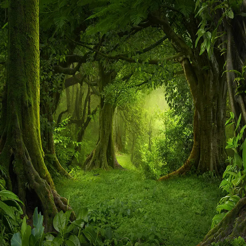 Pillow_Cover_Backdrops_Dark_Green_Forest-pob-backdrops