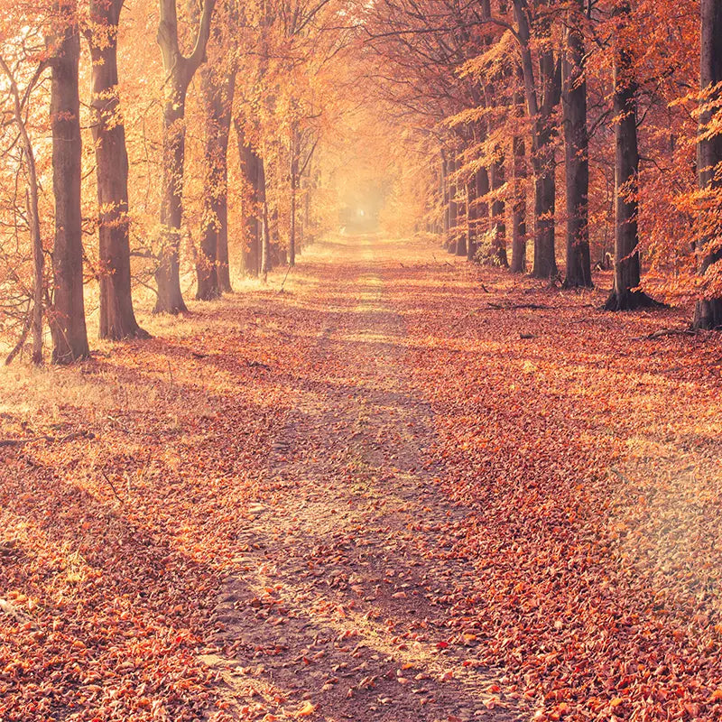Pillow_Cover_Backdrops_Fall-pob-backdrops