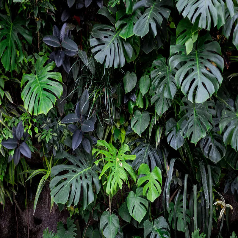 Pillow_Cover_Backdrops_Fern_Wall-pob-backdrops