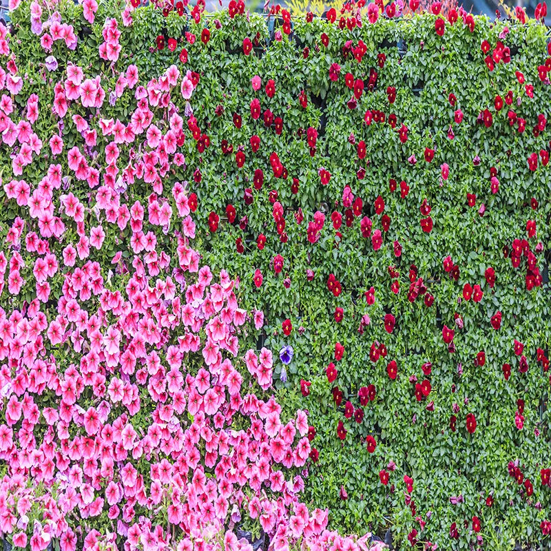 Pillow_Cover_Backdrops_HALF_AND_HALF_FLOWER_WALL-pob-backdrops