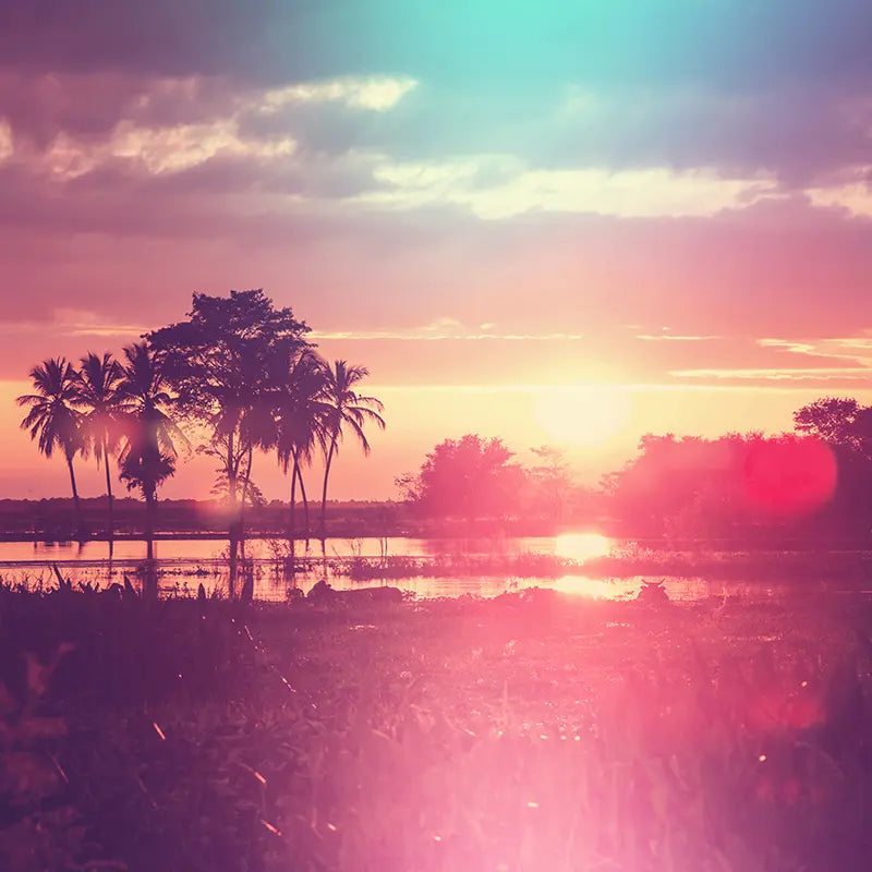 Pillow_Cover_Backdrops_Hidden_Gem-pob-backdrops