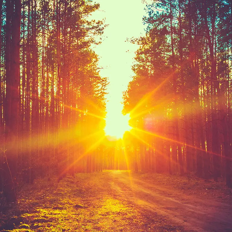 Pillow_Cover_Backdrops_Old_Country_Road-pob-backdrops