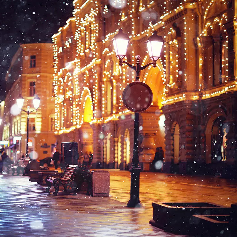 Pillow_Cover_Backdrops_Parisian_Winter_Stroll-pob-backdrops
