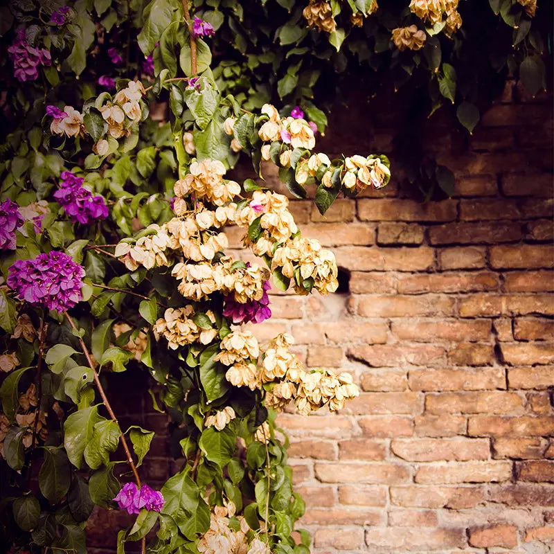 Pillow_Cover_Backdrops_Purple_Flower_Brick_Wall-pob-backdrops