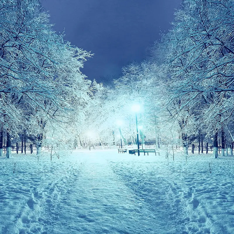 Pillow_Cover_Backdrops_Romantic_Winter-pob-backdrops