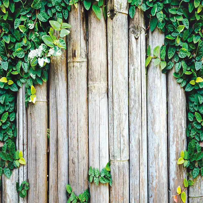 Pillow_Cover_Backdrops_Round_Greenery_Wood-pob-backdrops