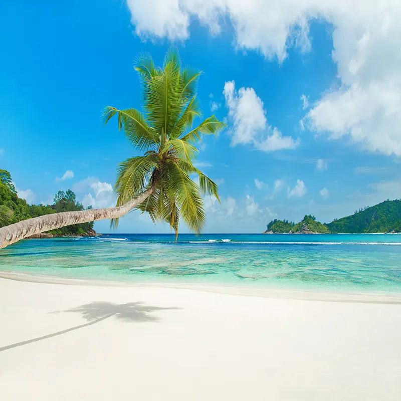 Pillow_Cover_Backdrops_Tropical_Paradise-pob-backdrops