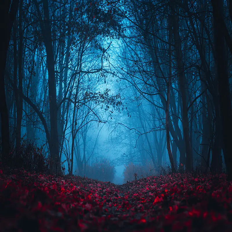 Pillow_Cover_Backdrops_Vampire_Path-pob-backdrops