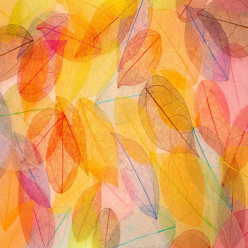 Pillow_Cover_Backdrops_Vibrant_Color_Leaves-pob-backdrops