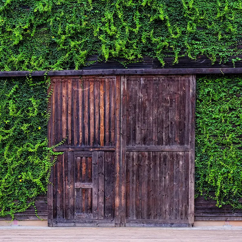Pillow_Cover_Backdrops_WOODEN_GARDEN_DOOR-pob-backdrops