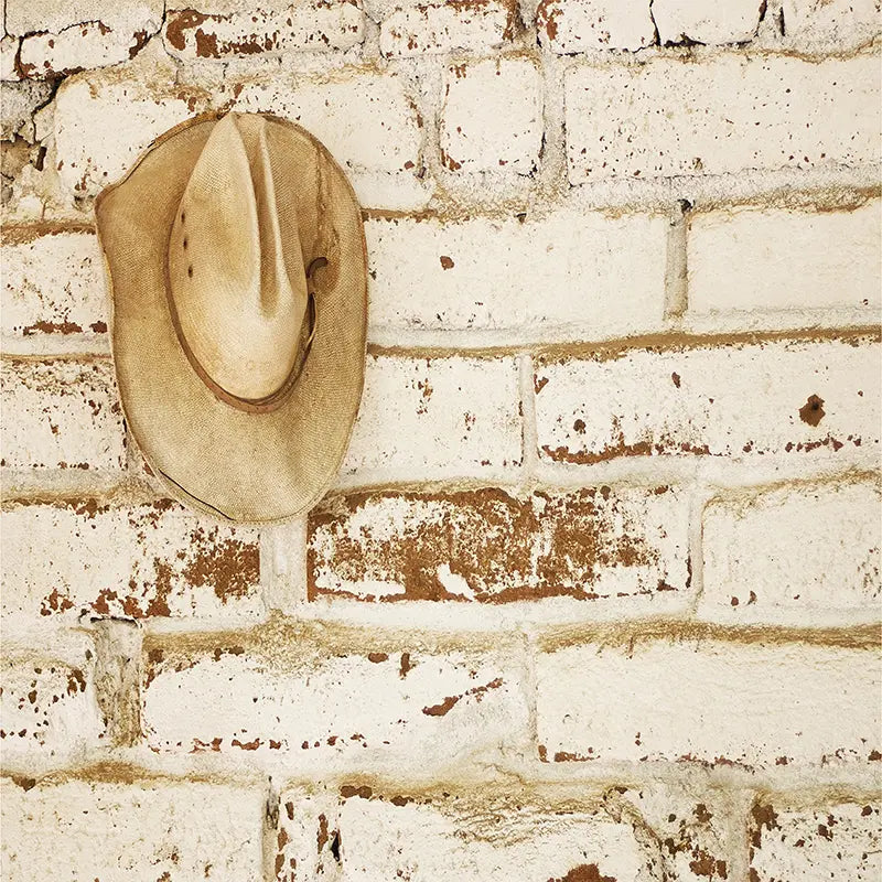 Pillow_Cover_Backdrops_Western-pob-backdrops