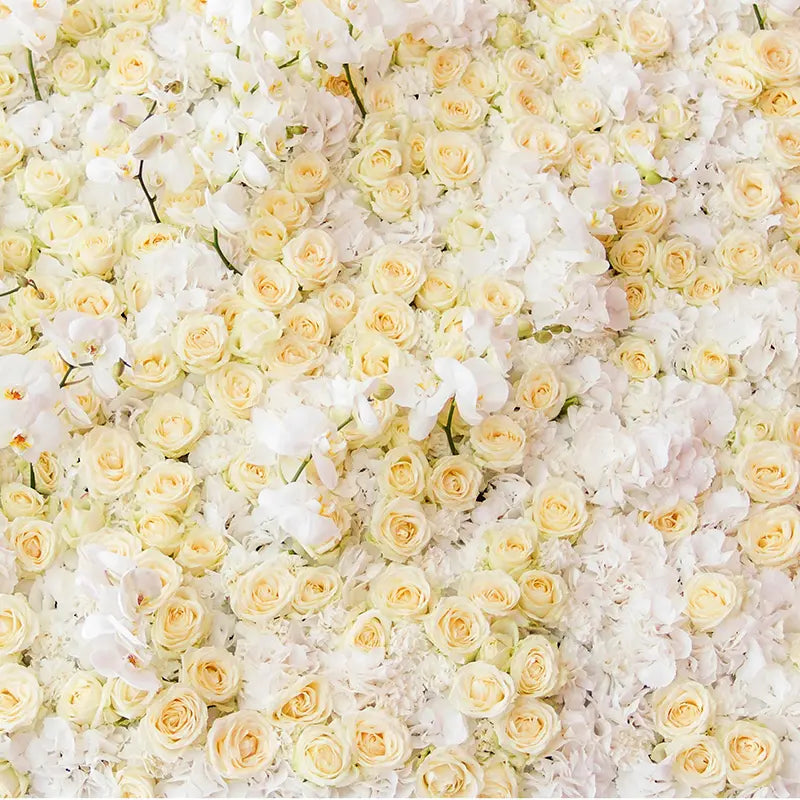 Pillow_Cover_Backdrops_White_And_Peach_Roses-pob-backdrops