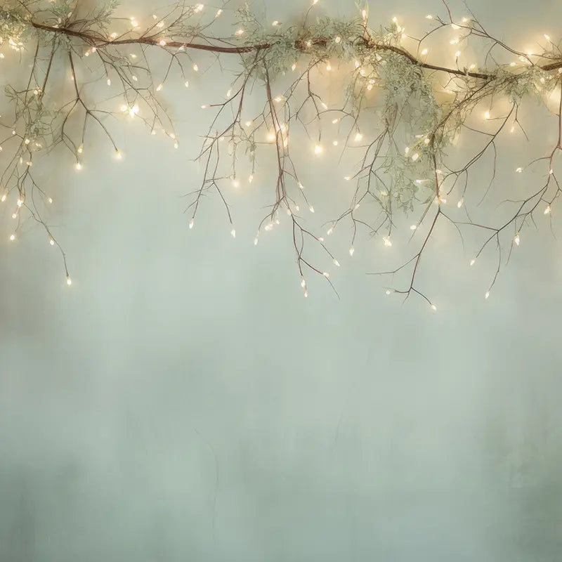 Pillow_Cover_Backdrops_Winter_Christmas_and_branch_lights-pob-backdrops