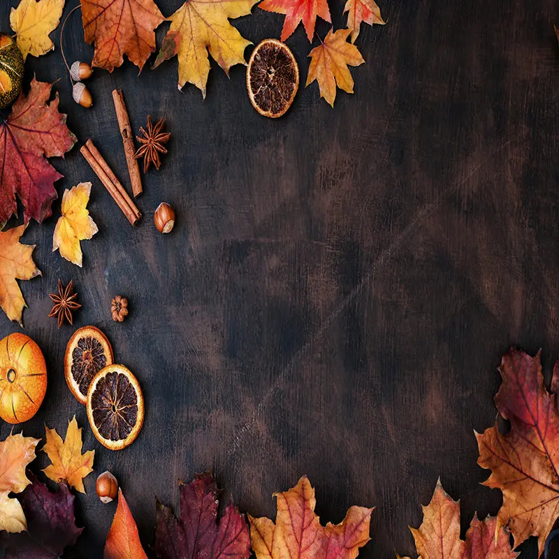 Pillow_Cover_Backdrops_autumn_spice-pob-backdrops