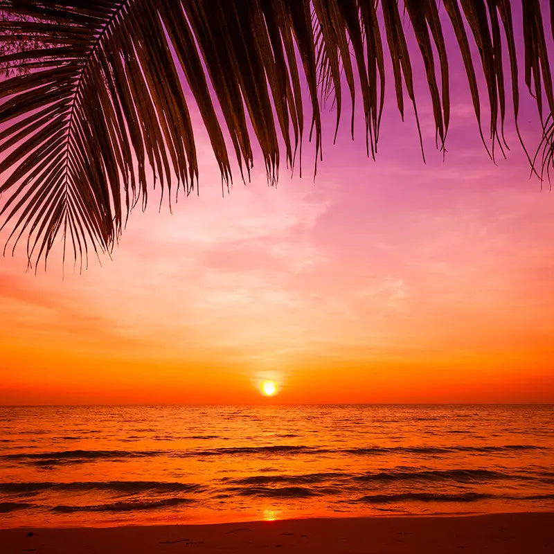 Pillow_Cover_Backdrops_beach_sunset-pob-backdrops