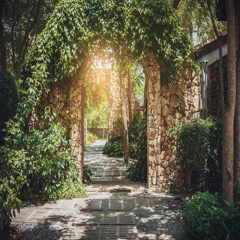 Pillow_Cover_Backdrops_forest_entrance-pob-backdrops