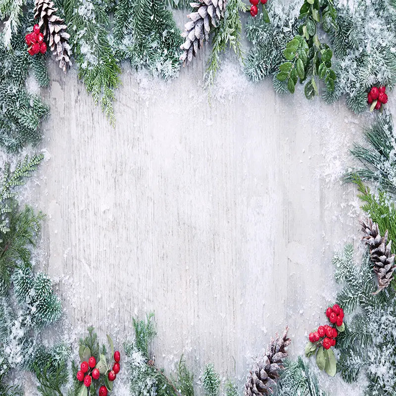 Pillow_Cover_Backdrops_frosty_Holidays-pob-backdrops