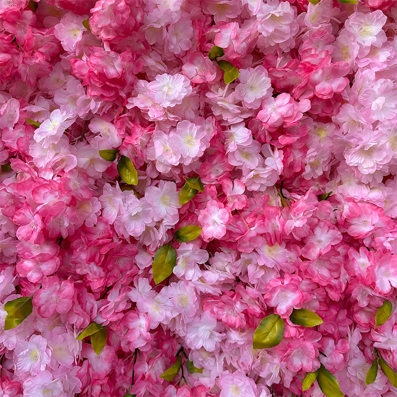 Pink Cherry Blossom Flower Wall