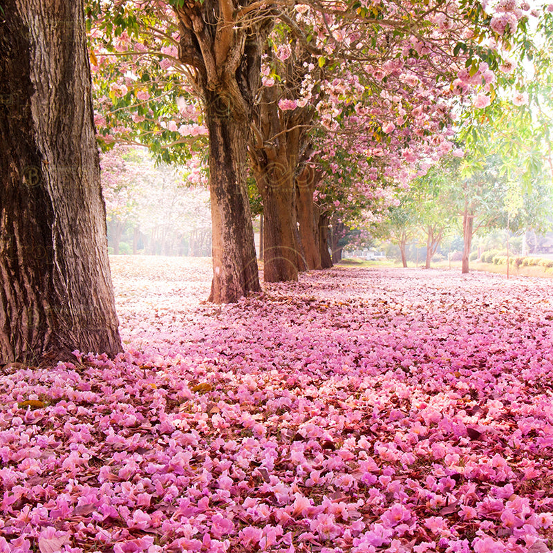 premium one pillowcover backdrops-Pink Garden Side