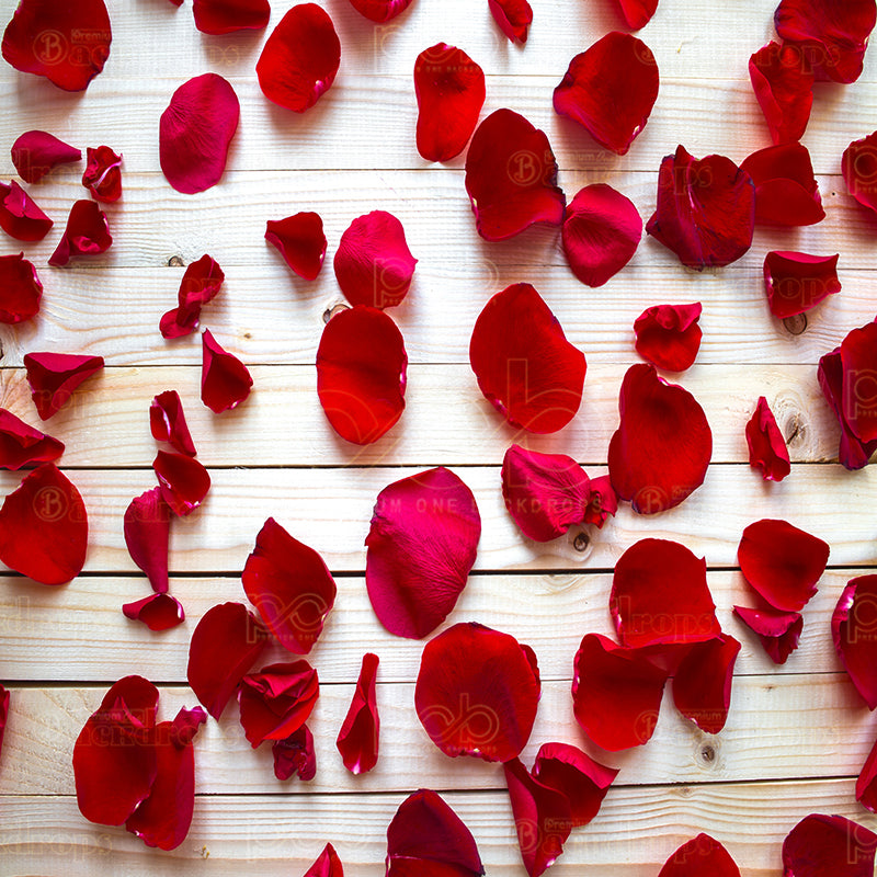 premium one pillowcover backdrops-Rose Petals Wood