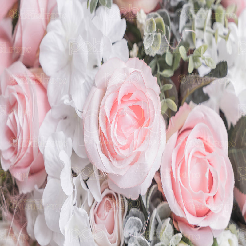 premium one pillowcover backdrops-Roses Succulents