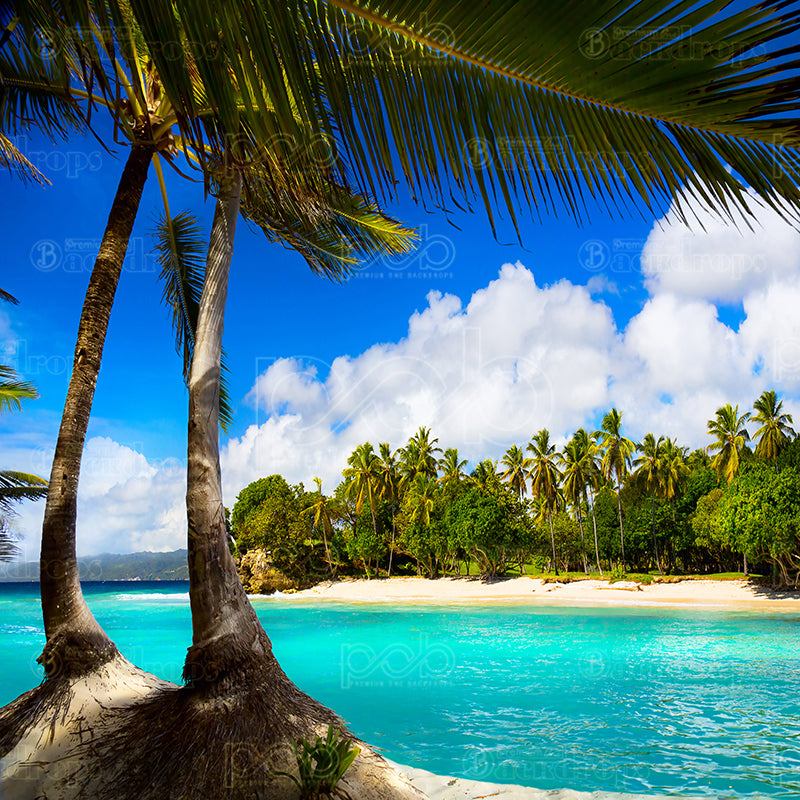 premium one pillowcover backdrops-Tropical beach shot