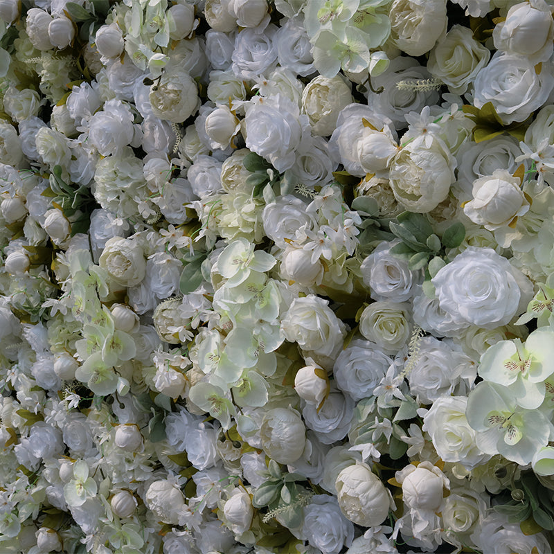 White Rose and Champagne Peonies Flower Wall