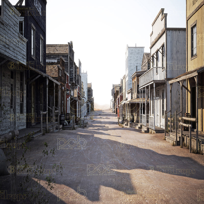 premium one pillowcover backdrops-Wild Wild West