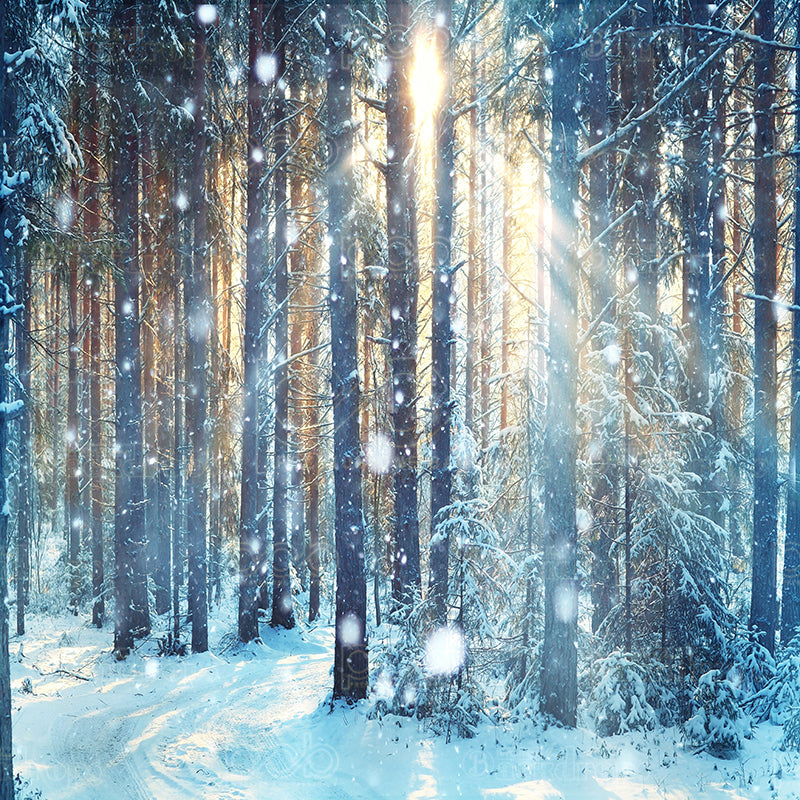 premium one pillowcover backdrops-Winter Woods