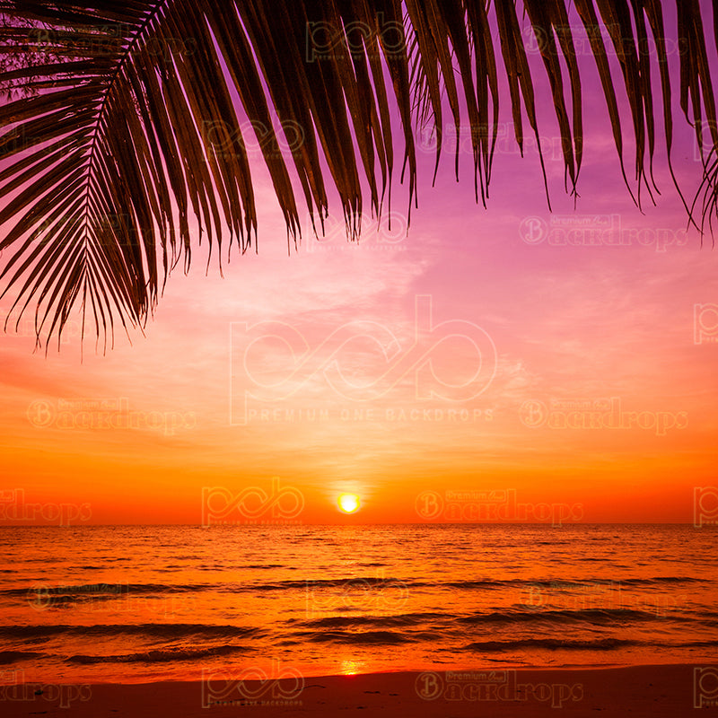 premium one pillowcover backdrops-beach sunset and Palm trees