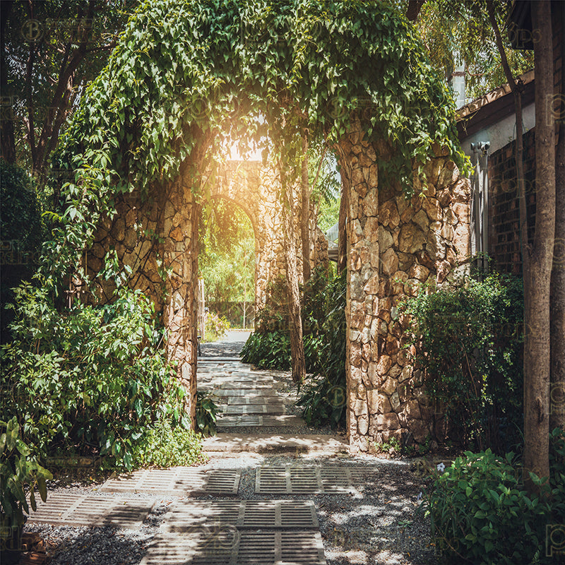 premium one pillowcover backdrops-forest entrance