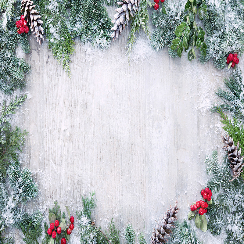 premium one pillowcover backdrops-frosty Holidays