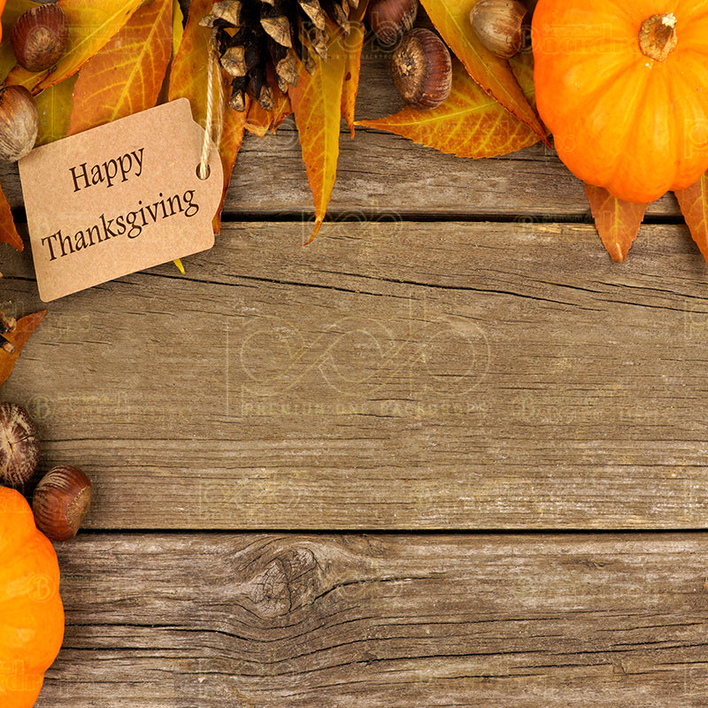 premium one pillowcover backdrops-happy thanksgiving