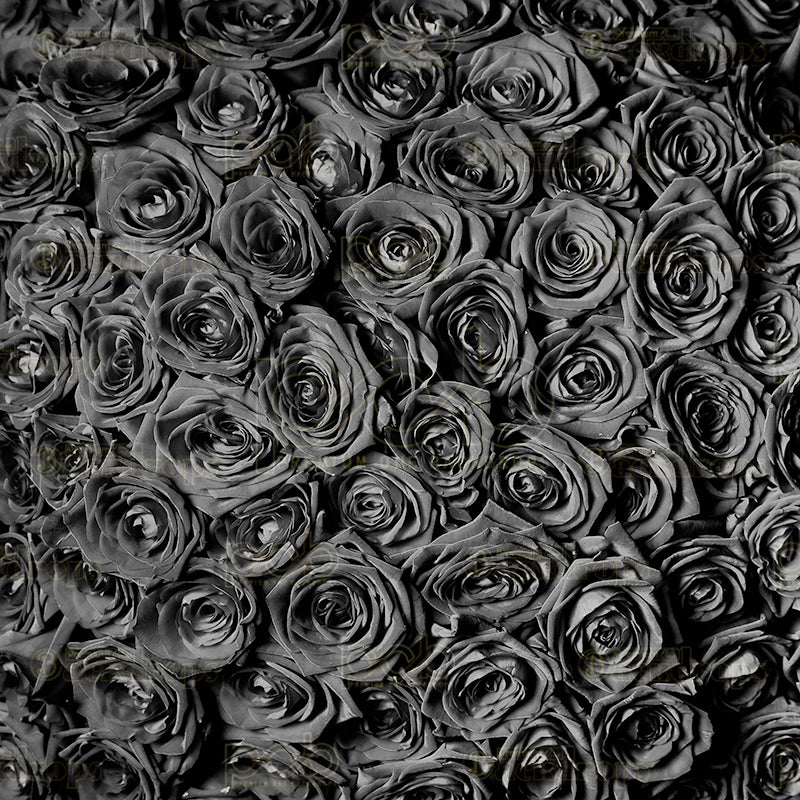 premium one pillowcover backdrops-midnight rose wall