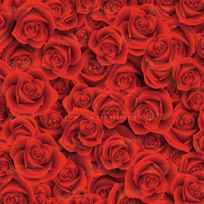 Pillow Cover Backdrop(red roses)