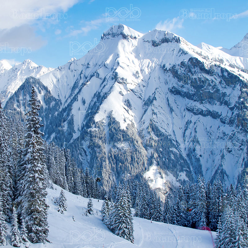 premium one pillowcover backdrops-snowy mountainscape