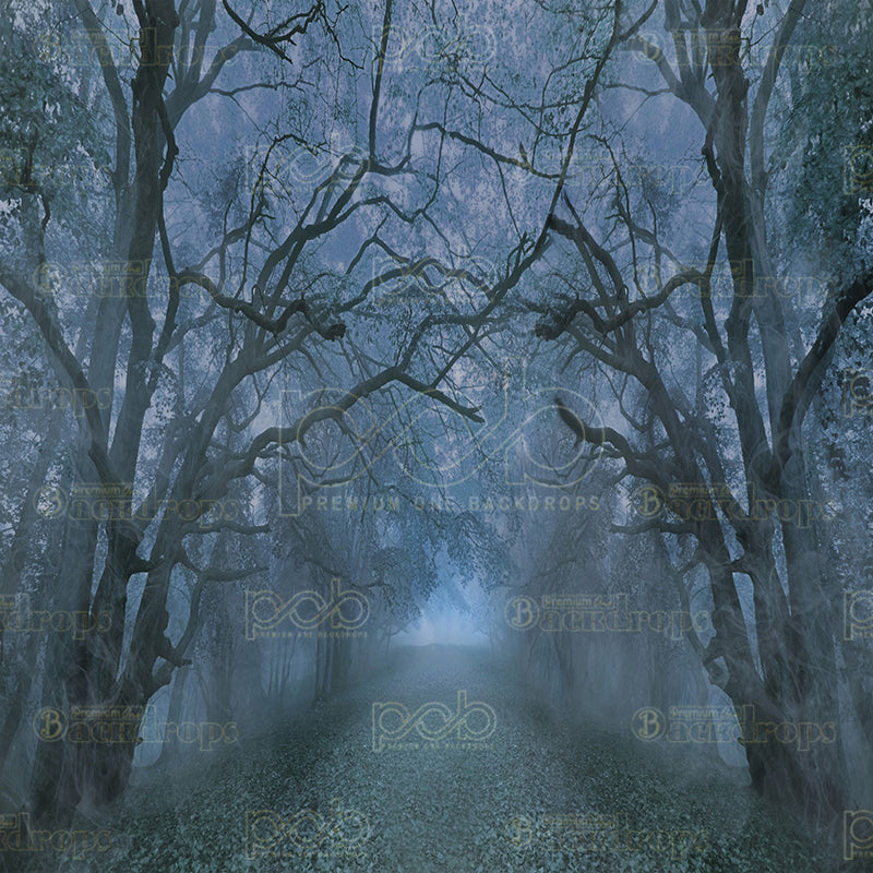 premium one pillowcover backdrops-spooky foggy forest