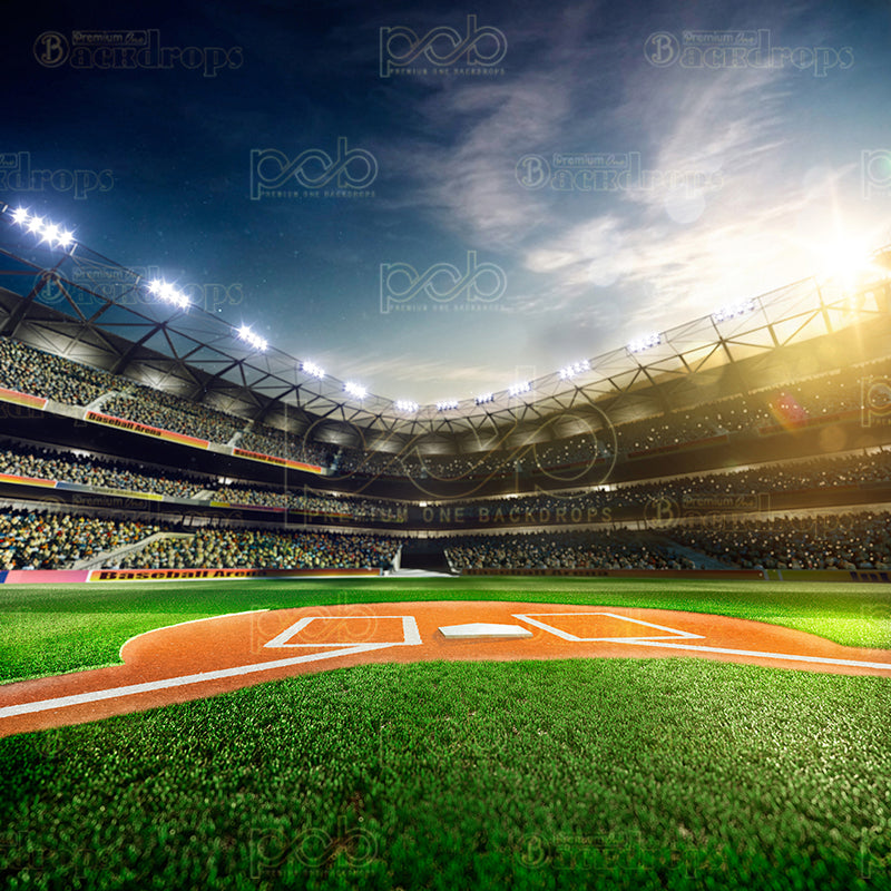 premium one pillowcover backdrops-take me to a ball game